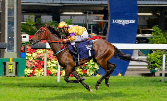 ＜満員御礼＞<12月8日（日）限定催行/遠足>香港LONGINES国際競馬鑑賞ツアー＜日本語ガイド＞12名様限定！