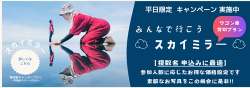スカイミラー平日価格商品